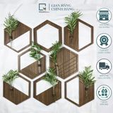 Bộ lục giác trang trí nâu LA|Molago