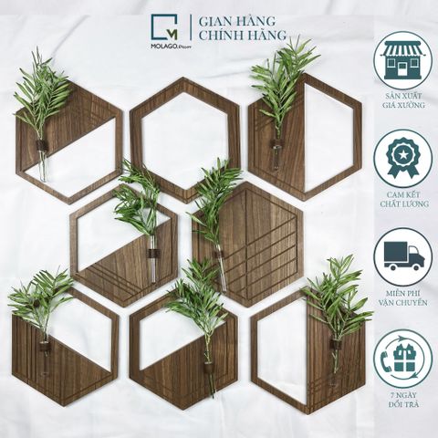 Bộ lục giác trang trí nâu LA|Molago