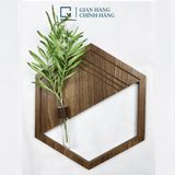 Bộ lục giác trang trí nâu LA|Molago