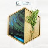 Kệ gỗ treo tường lục giác, kệ dán tường trang trí LB-V|Molago
