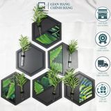 Kệ treo tường, dán tường lục giác LC|Molago