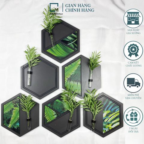Kệ treo tường, dán tường lục giác LC|Molago