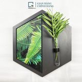 Kệ treo tường, dán tường lục giác LC|Molago