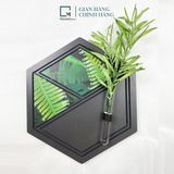 Kệ treo tường, dán tường lục giác LC|Molago