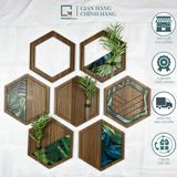 Kệ dán tường lục giác trang trí gỗ LD|Molago