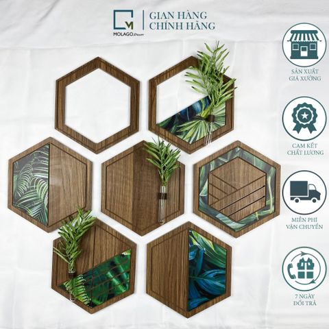 Kệ dán tường lục giác trang trí gỗ LD|Molago