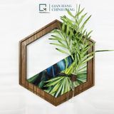 Kệ dán tường lục giác trang trí gỗ LD|Molago