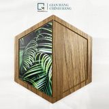 Kệ dán tường lục giác trang trí gỗ LD|Molago