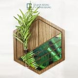 Kệ dán tường lục giác trang trí gỗ LD|Molago