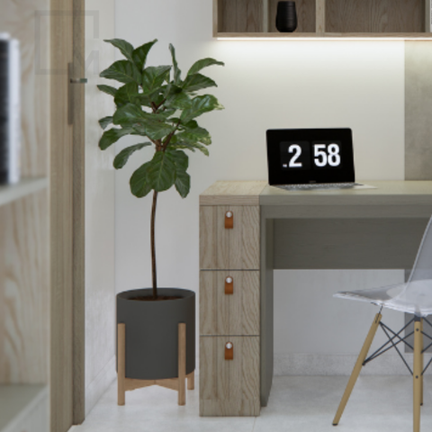 Tủ hông/Tủ vật dụng/Tủ hồ sơ - K006 Silvan|Molago