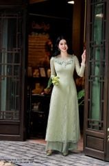 Áo dài ren xanh bơ AD35