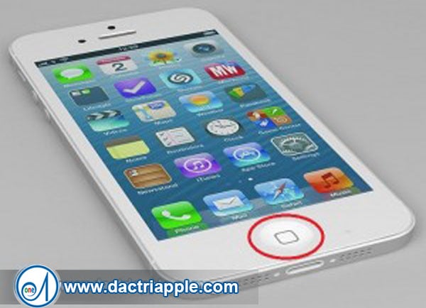 4 cách sửa nút home iPhone 5 tại nhà 4 cách sửa nút home iPhone 5 tại nhà