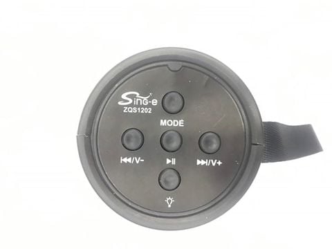 Loa Bluetooth ZQS1202