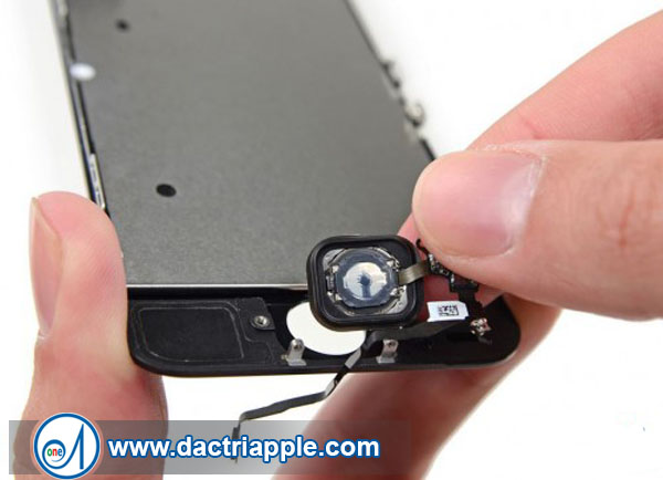 Cách sửa nút home iPhone 5s tại nhà Cách sửa nút home iPhone 5s tại nhà