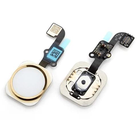 Thay Cáp Home iPhone 6 Plus