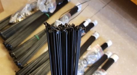 Nan hoa cổ chày/ DT Swiss/ 292mm/ Black