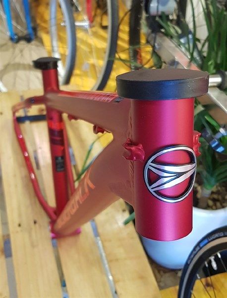  Frame SilverBack Stride 27.5/Watermelon Red/Dark Maroon/400mm 