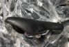  Yên xe đạp Selle Royal MTB Saddle 