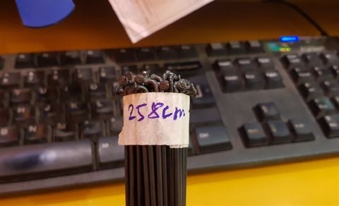 Na hoa DT Swiss 258mm/ Black