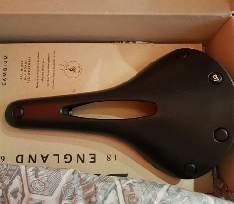 Yên Brooks Cambium C17 Carved/ Black