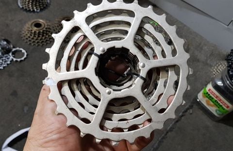 Líp thả Shimano 7S