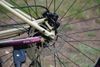  POLYGON MTB - CLEO 2/Size 14 