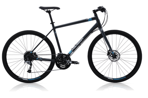 Xe đạp Polygon Path 3