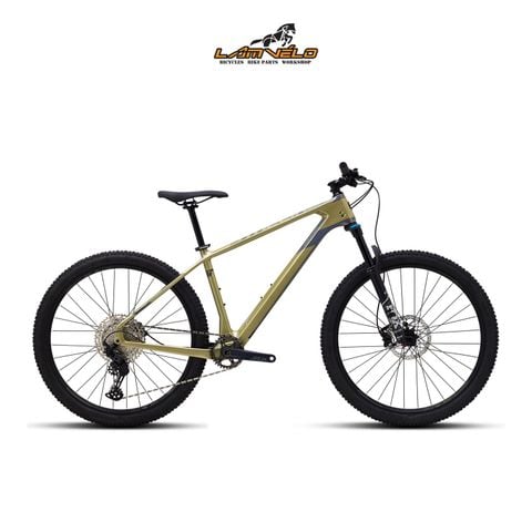 POLYGON Syncline C5 2022