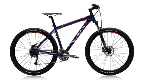 Xe đạp Polygon Xtrada 5.0