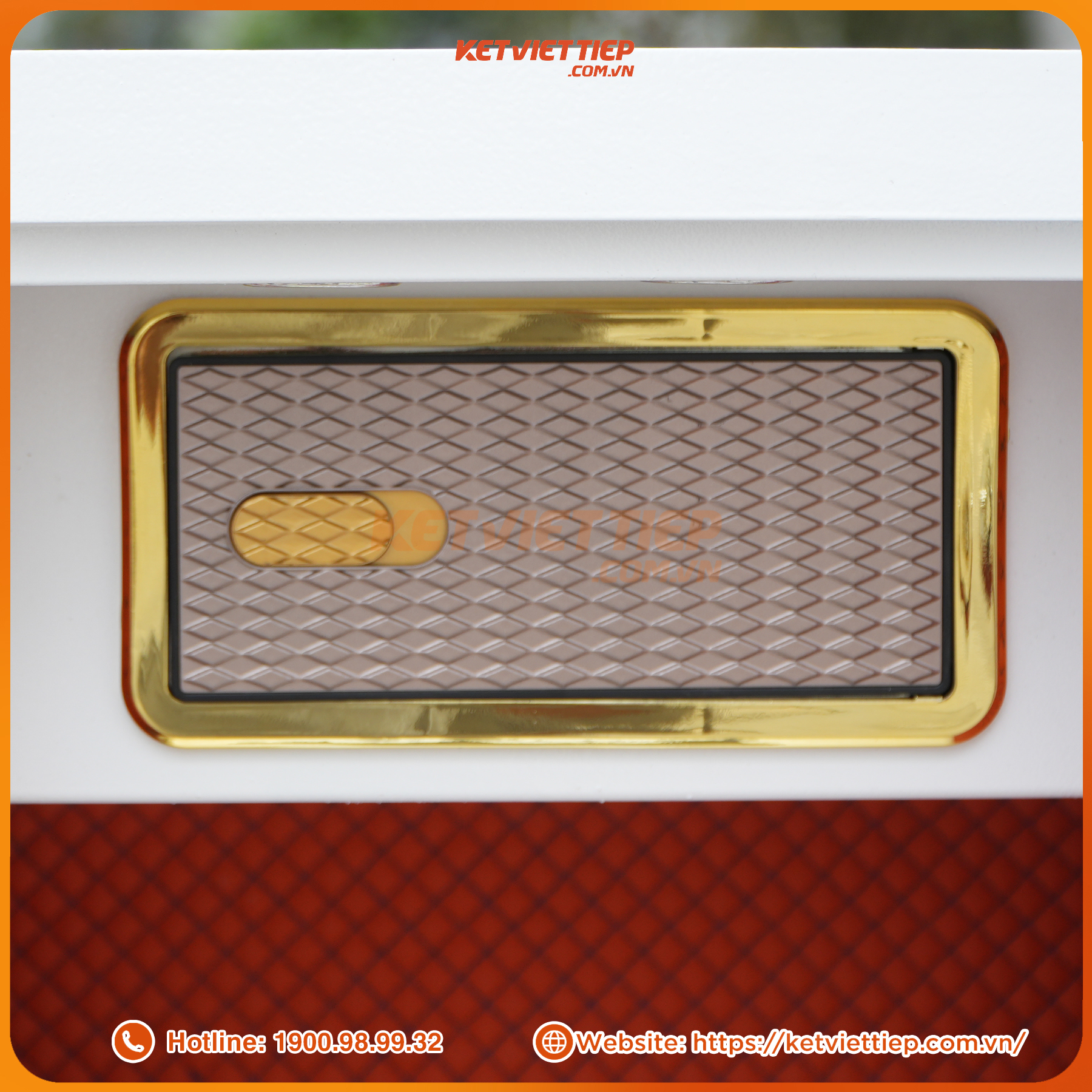 Két sắt  Việt Tiệp thông minh cao cấp SPM800 nhận diện khuôn mặt