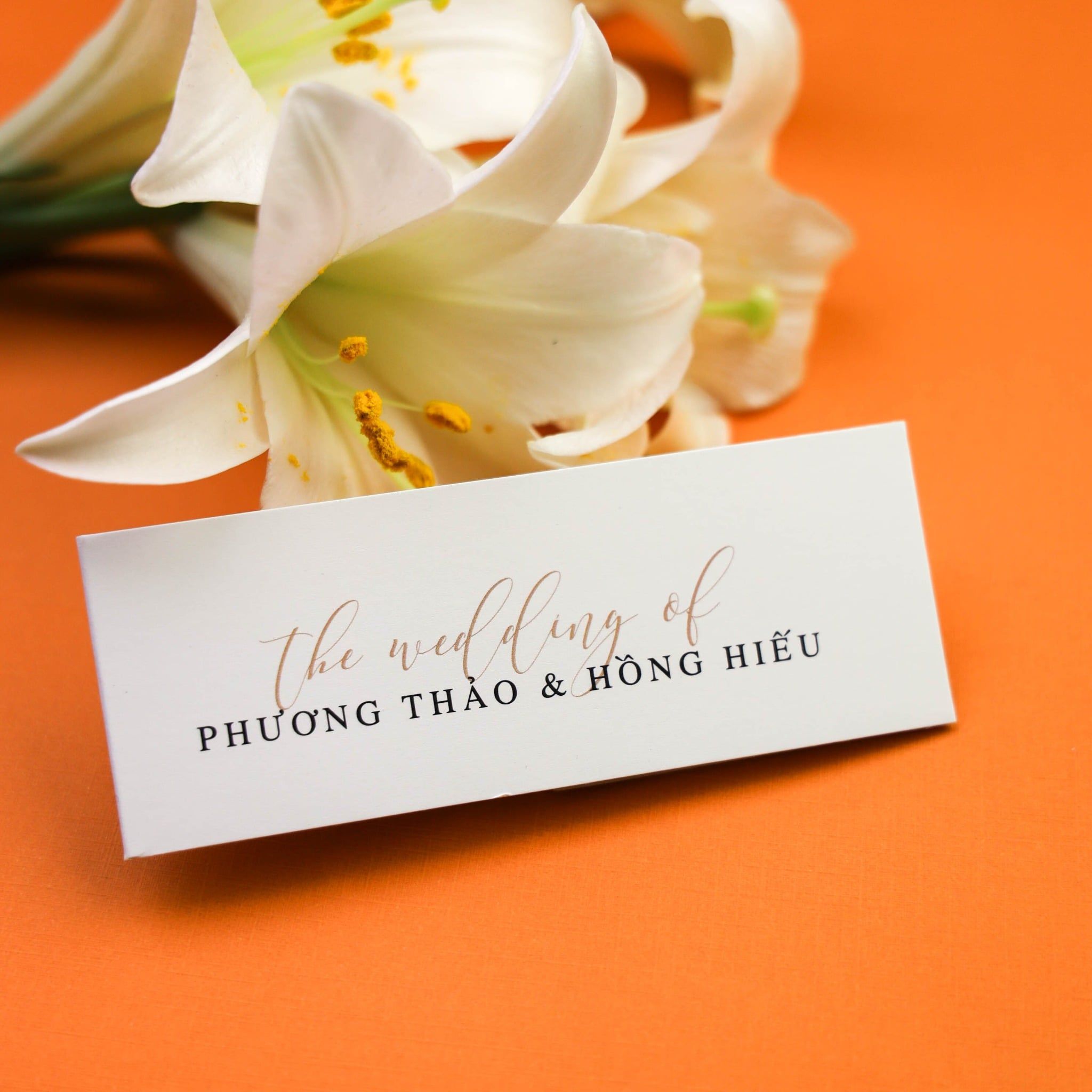  Modern Elegant Minimalist Wedding Invitation ∞ TD-A0030.D 