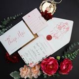  Blush Romance – Lời Yêu Nhẹ Nhàng ∞ TD-B0053 