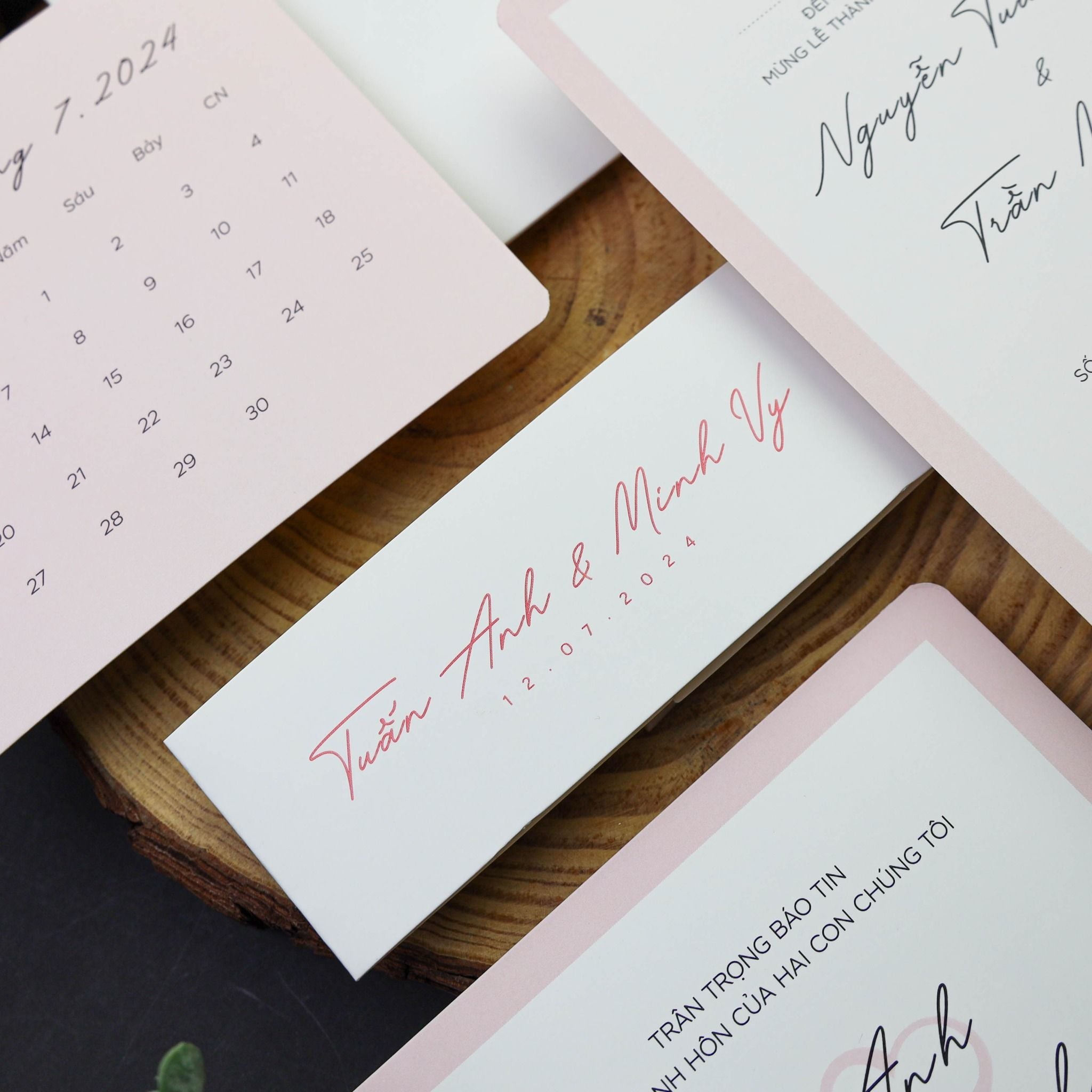  Blush Romance – Lời Yêu Nhẹ Nhàng ∞ TD-B0053 