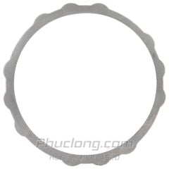 Lá phanh sắt M2X210