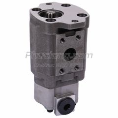 Bơm điều khiển AP2D36