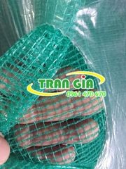 Lưới cước xanh