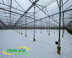 Bạt trải trong nhà kính, bạt trải cỏ