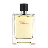 Nước hoa nam Terre D'Hermès EDT