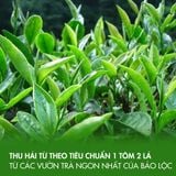 TRÀ ĐEN TRUYỀN THỐNG DOTEA (B552)