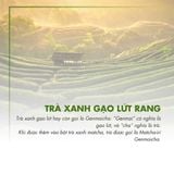 Trà Xanh Gạo G241 - 500g