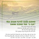 TRÀ TRẮNG SHAN TUYẾT CỔ THỤ DOTEA (W921)