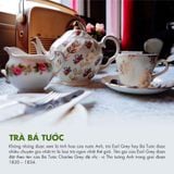 TRÀ ĐEN BÁ TƯỚC DOTEA (B252)