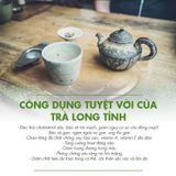 TRÀ XANH LONG TỈNH DOTEA DẠNG LON (G831)