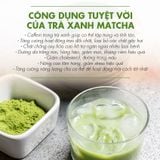 Trà Xanh Matcha G551M - 100g