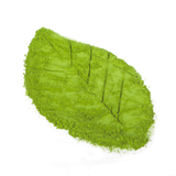 MATCHA CHUẨN VỊ UMAMI (G551M)