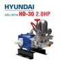 Đầu Bơm Cao Áp HYUNDAI HD-30 (2HP)