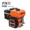 Động cơ nổ Pilo P160