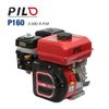 Động cơ nổ Pilo P160