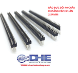 Hàng rào đực thẳng đôi 40 chân, 2.54mm