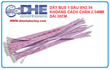 DÂY BUS 1 ĐẦU XH2.54 KHOẢNG CÁCH 2 CHÂN 2.54MM DÀI 30CM